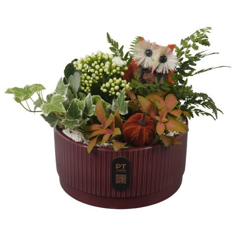 <h4>PTHI3220 Arrangement Autumn Indoor in keramiek schaal</h4>