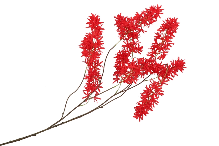 Silk Wisteria Fiery Red 130cm