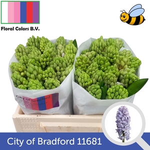 HYAC CITY OF BRADFOR