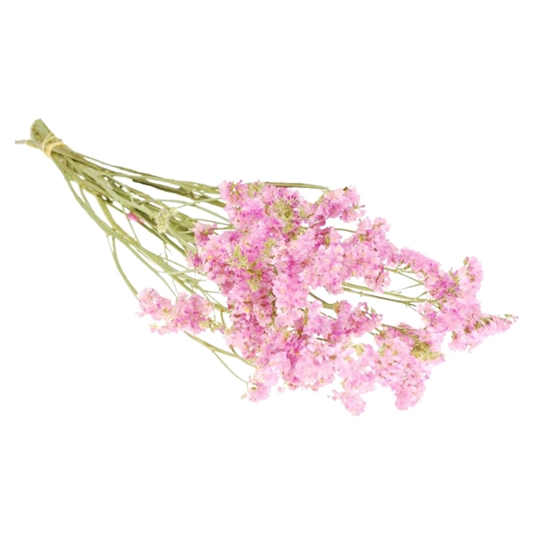 <h4>Droogbloemen - Statice Pink</h4>