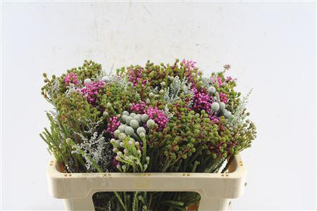 <h4>Kaaps Groen Gemengd In Bos</h4>