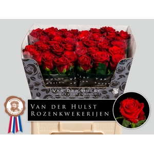 R Gr Con Amore Hulst