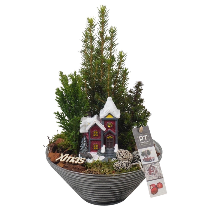 <h4>Arr. Kerst L%</h4>