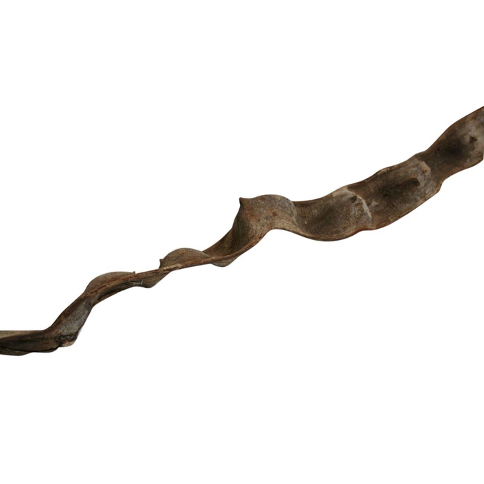 <h4>Branch Cipo Escada L200 D9/12</h4>