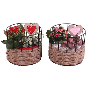 Valentine Arr. Indoor Metal Frame Rope Pot Round Ø17cm 2PP