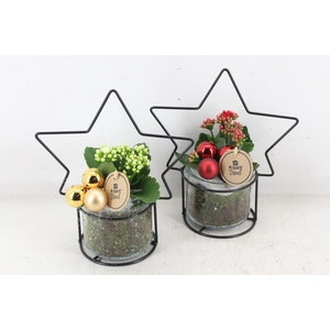 arr2 PL - Glas potje met ster frame x6