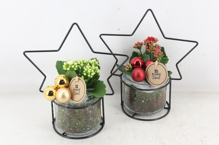 <h4>arr2 PL - Glas potje met ster frame x6</h4>