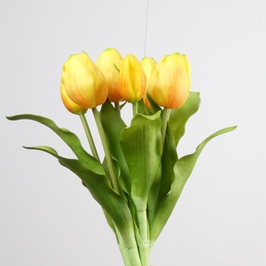 AF Tulip Bundle x7 L31cm Yello