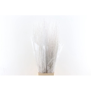 Branch 100cm White P Stem