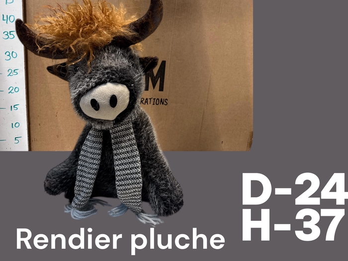 <h4>HUIS EN TUINDECO H%</h4>