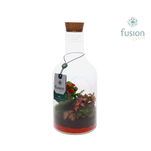 Green Bottle Fles Small Love met arrangement