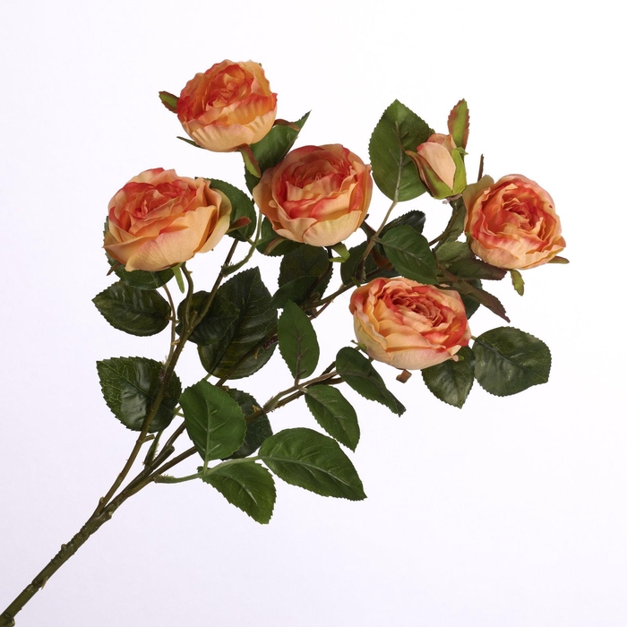 <h4>Rosa Spray Peach FL440243PEA</h4>