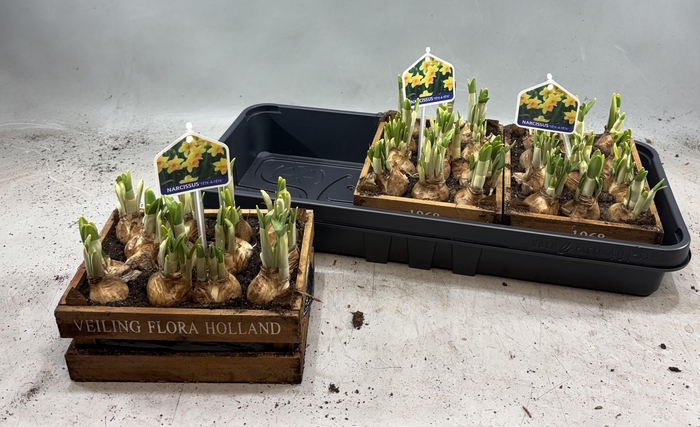 <h4>ARR N TETE A TETE</h4>