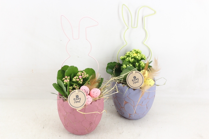 <h4>arr2 PL - Cracked egg bunny frame lila</h4>