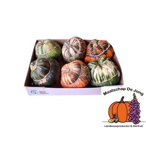 <h4>CUCURBITA</h4>