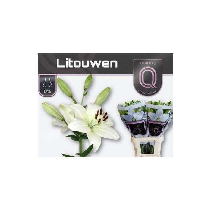 <h4>Li La Litouwen</h4>