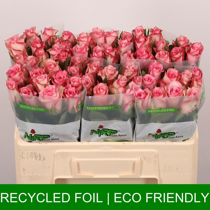 <h4>R GR FASHION WEEK</h4>