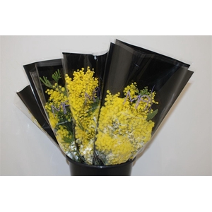 Mimosa Mirandole 150gr P Bunch