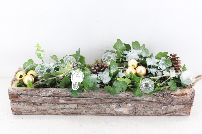 <h4>arr2 PL - Schors balk hedera goud LED</h4>