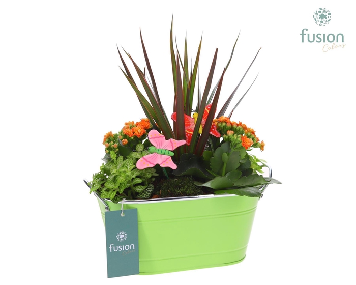 <h4>Schaal zink ovaal met Arrangement</h4>