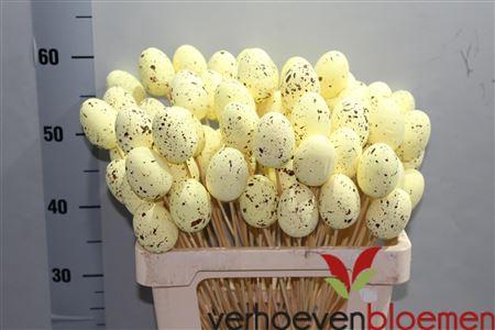 <h4>KIEVITSEI OP STOK H%</h4>