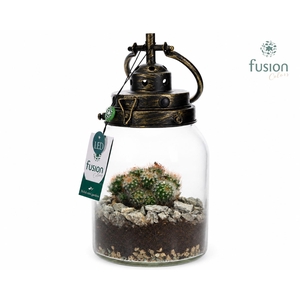 Glazen LEDlamp met Cactus