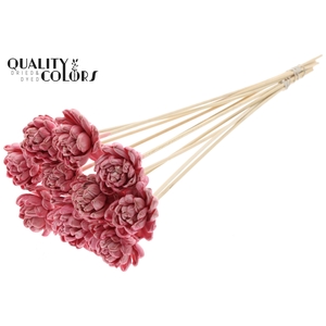 Shola New Beauty Rose 6cm on stem Wax Light Pink