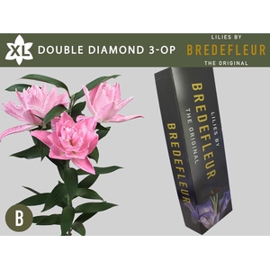 LI OR DU DOU DIAMOND 3+ QUALITY BOX