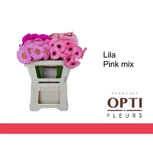 GE MI LILA PINK MIX-Water