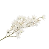 Silk Clematis Tak White 63cm