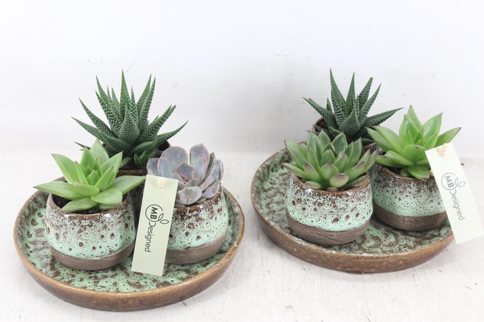 <h4>rr2 MB - Ker. plateau 3pot ech</h4>