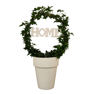 Hedera boog + home in keramiek