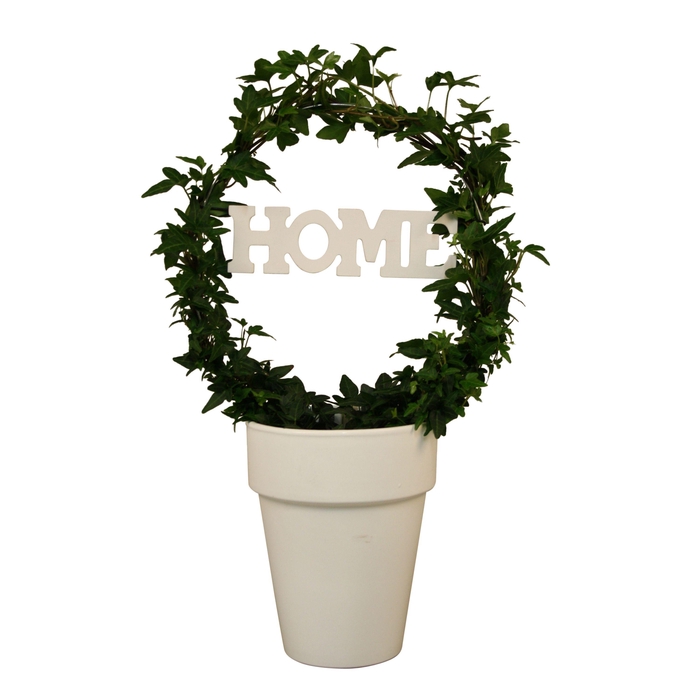 <h4>Hedera boog + home in keramiek</h4>