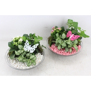 arr2 PL - Glas schaal 23cm - roze/wit