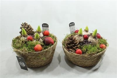 <h4>1104 Mnd HYA</h4>