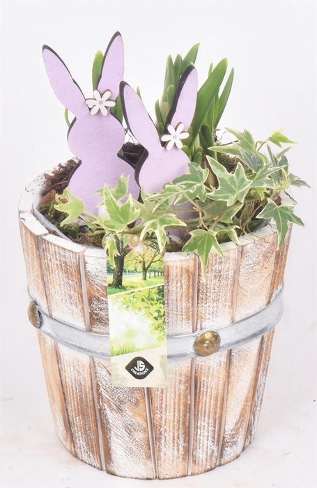 <h4>Hout pot 15cm</h4>