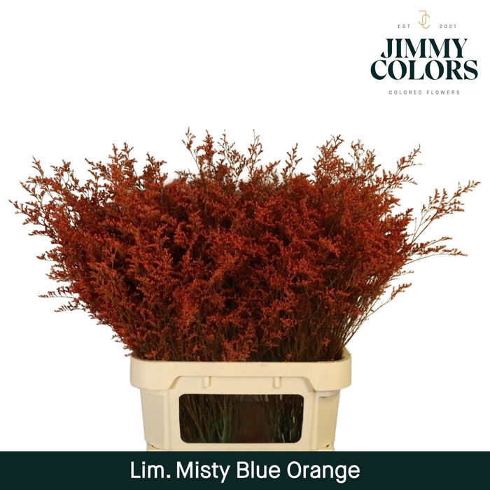 <h4>Lim Misty Blue L90 Orange</h4>