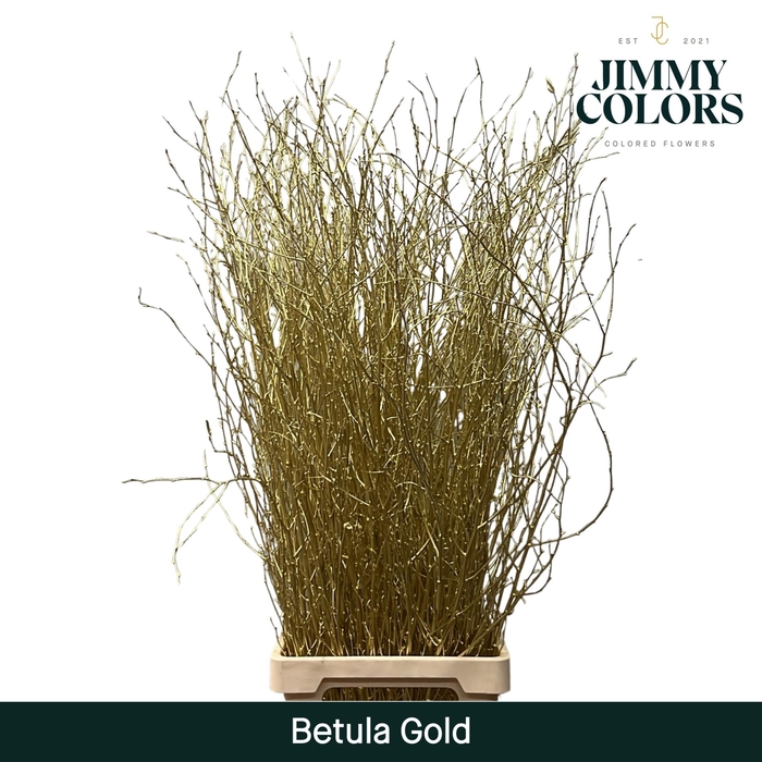 <h4>Betula L120 Mtlc. Gold</h4>
