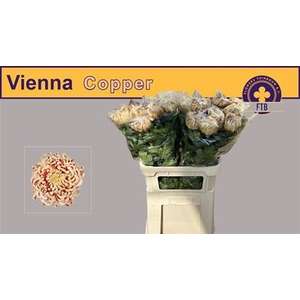 Chr G Vienna Copper