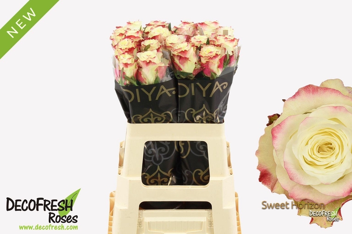 <h4>R Gr Sweet Horizon</h4>