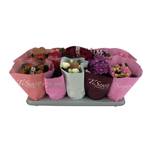 KAMERPL BLOEIEND GEM