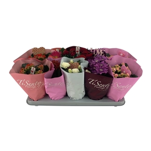 KAMERPL BLOEIEND GEM