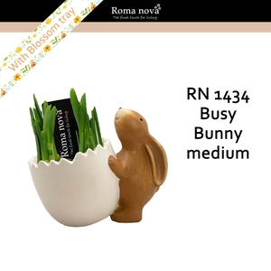1434 - Busy Bunny medium (Tete a Tete)
