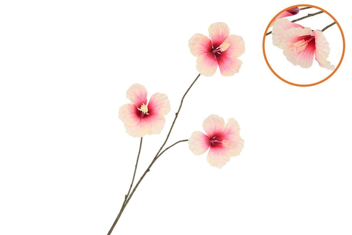 <h4>Silk Hibiscus Peach 85cm</h4>