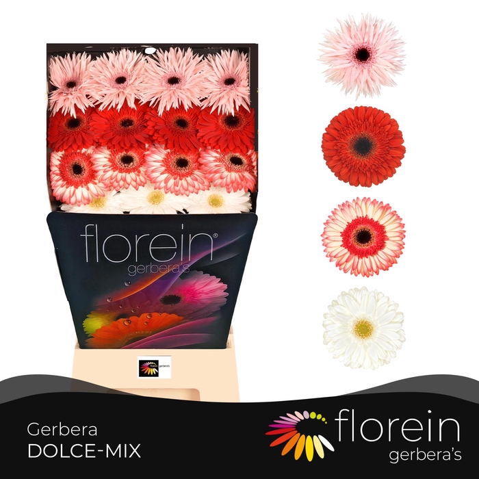 <h4>GE GB Christmas mix diamond x45</h4>