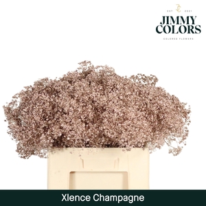 Gyps xlence L60 Mtlc. Champagne