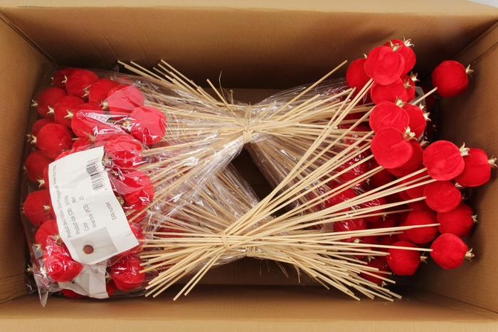 <h4>Stick Pomegranate V.6cm Red</h4>