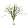 T-GRAS BONT