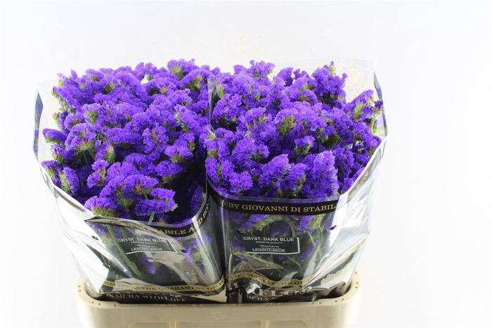 <h4>Lim S Crystal Dark Blue</h4>