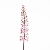 AF Eucomis Spray L87cm Pink